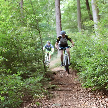 Дом отдыха Henneseeblick - - View - Terrace - Hils - Wood - Wifi