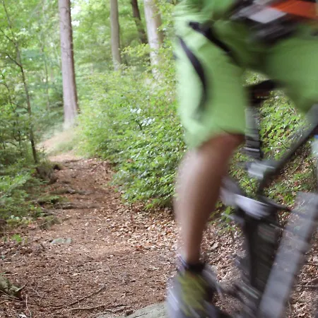 Henneseeblick - - View - Terrace - Hils - Wood - Wifi * Мешеде