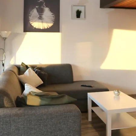 Henneseeblick - - View - Terrace - Hils - Wood - Wifi Holiday home *