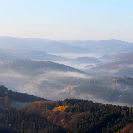 Дом отдыха Henneseeblick - - View - Terrace - Hils - Wood - Wifi Мешеде