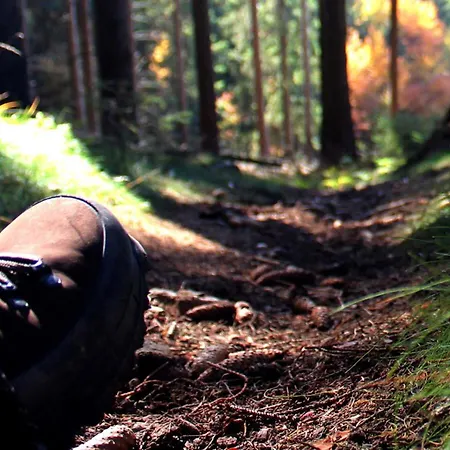 Henneseeblick - - View - Terrace - Hils - Wood - Wifi Дом отдыха *