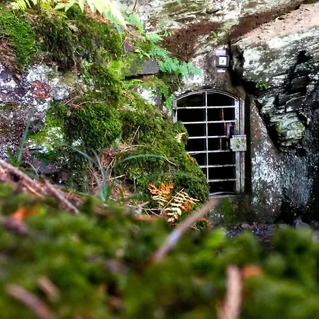 Дом отдыха Henneseeblick - - View - Terrace - Hils - Wood - Wifi