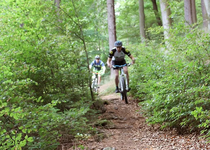 بيت للعطل Henneseeblick - - View - Terrace - Hils - Wood - Wifi