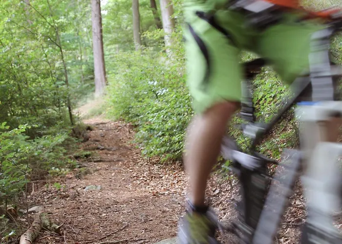 Henneseeblick - - View - Terrace - Hils - Wood - Wifi * ميشيده