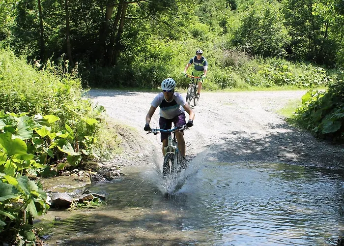 Henneseeblick - - View - Terrace - Hils - Wood - Wifi ميشيده